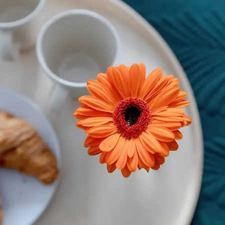 Modern With Balcony And Parking By Renters Apartamento Mielno (Koszalin)