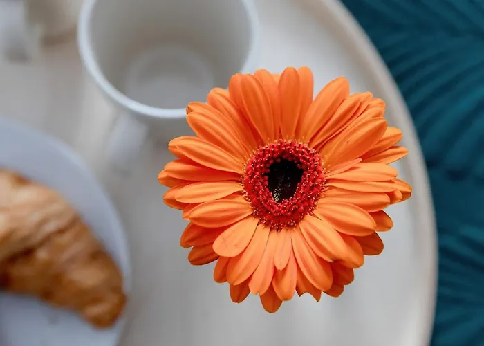 Modern With Balcony And Parking By Renters Apartman Mielno